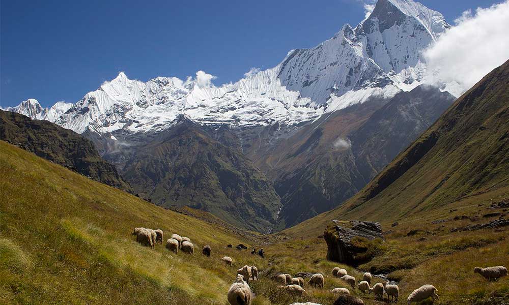 annapurna base camp trek in november